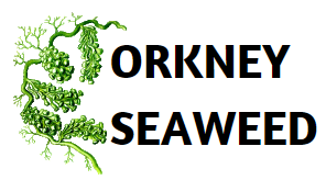 Orkney Seaweed Company Ltd