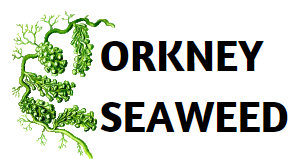 (c) Orkneyseaweed.co.uk